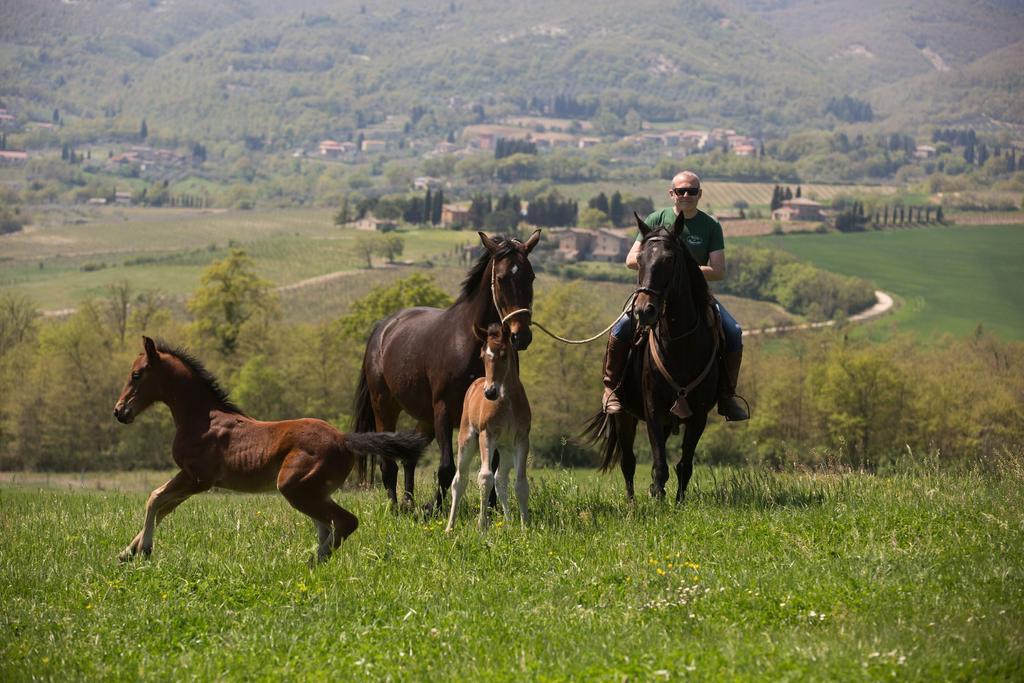 Poggiovalle Tenuta Italiana Città della Pieve Eksteriør bilde