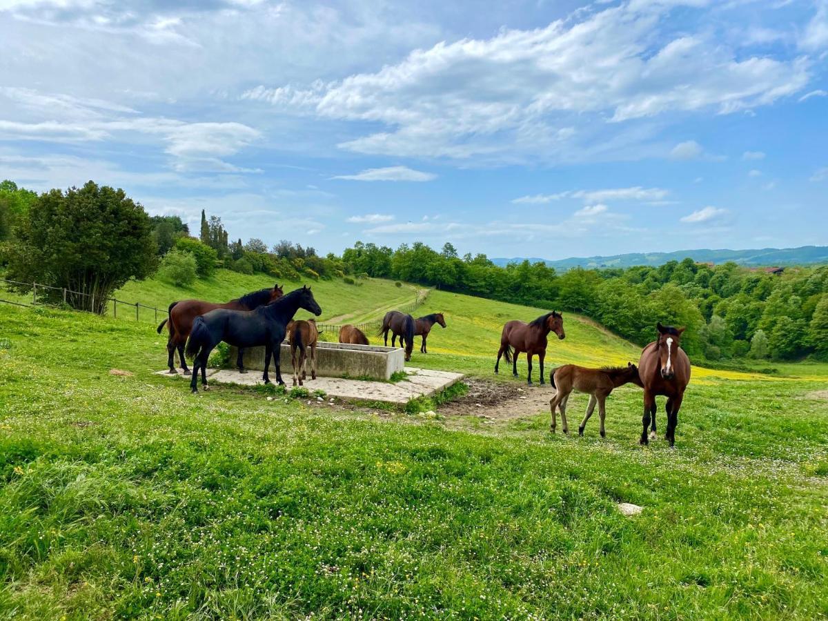 Poggiovalle Tenuta Italiana Città della Pieve Eksteriør bilde